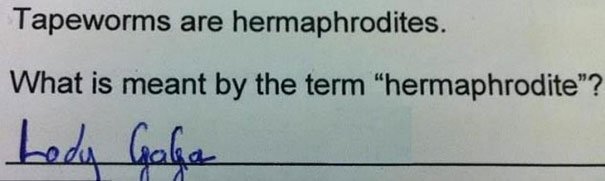Funny kids' test answer about hermaphrodites with a humorous response referencing a celebrity. Funny kids' test answer about hermaphrodites with a humorous response referencing a celebrity.
