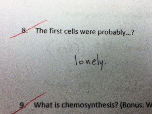 Smartass kid's test answer: "The first cells were probably... lonely. Smartass kid's test answer: "The first cells were probably... lonely.