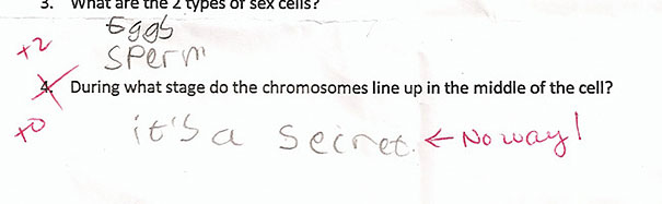 Smartass kid's funny test answer: "During what stage do the chromosomes line up in the middle of the cell?" Answered: "It's a secret. Smartass kid's funny test answer: "During what stage do the chromosomes line up in the middle of the cell?" Answered: "It's a secret.