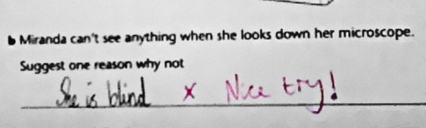 Test answer from a smart kid suggests "She is blind" as a reason for not seeing in a microscope, with "Nice try!" feedback. Test answer from a smart kid suggests "She is blind" as a reason for not seeing in a microscope, with "Nice try!" feedback.
