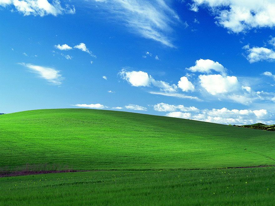 Forget the view out the windows—the real beauty of Microsoft