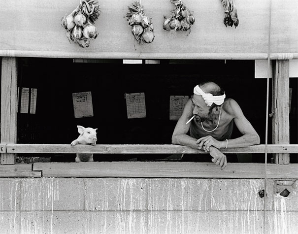 otchan-cute-pig-farmer-toshiteru-yamaji-19 otchan-cute-pig-farmer-toshiteru-yamaji-19