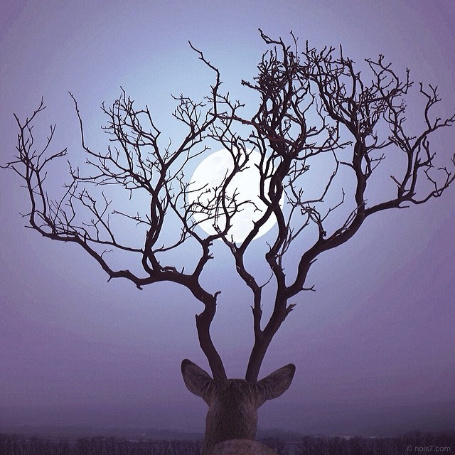 surreal-photography-robert-jahns-18 surreal-photography-robert-jahns-18