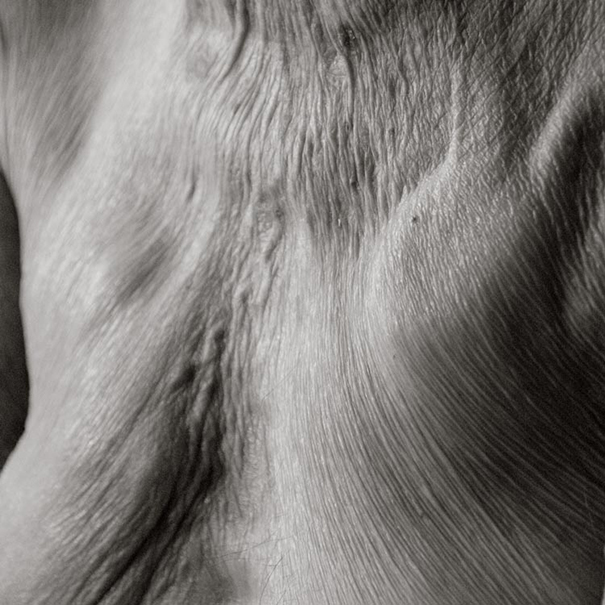 aged-human-body-100-years-old-centenarians-anastasia-pottinger-15 aged-human-body-100-years-old-centenarians-anastasia-pottinger-15