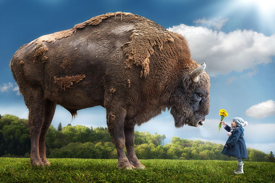 creative-dad-children-photo-manipulations-john-wilhelm-12 creative-dad-children-photo-manipulations-john-wilhelm-12