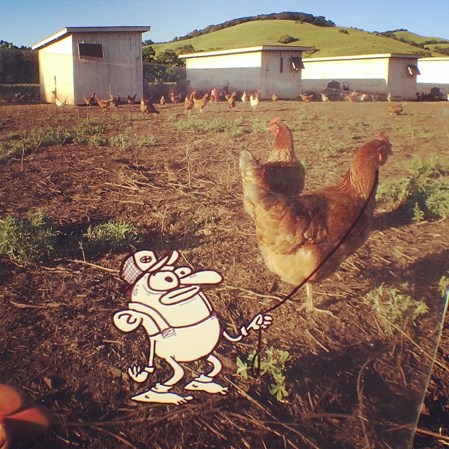 doodle-ramblings-marty-cooper-11 doodle-ramblings-marty-cooper-11