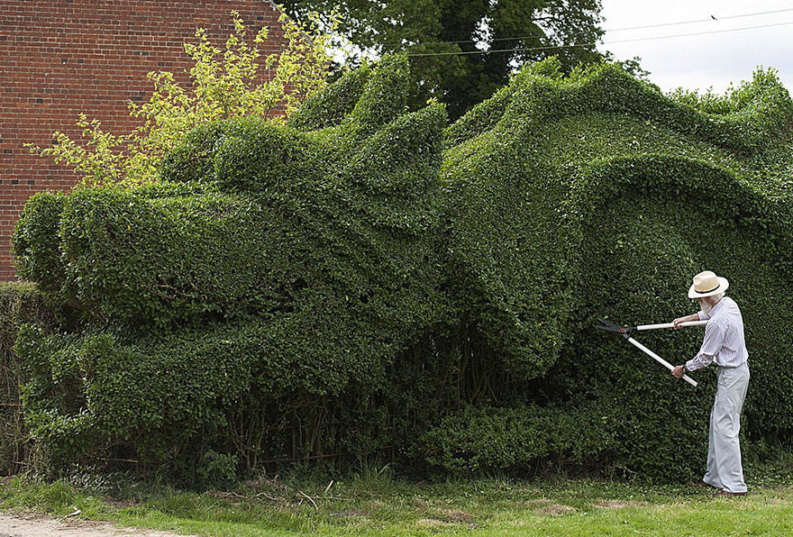 dragon-shaped-hedge-topiary-john-brooker-1 dragon-shaped-hedge-topiary-john-brooker-1