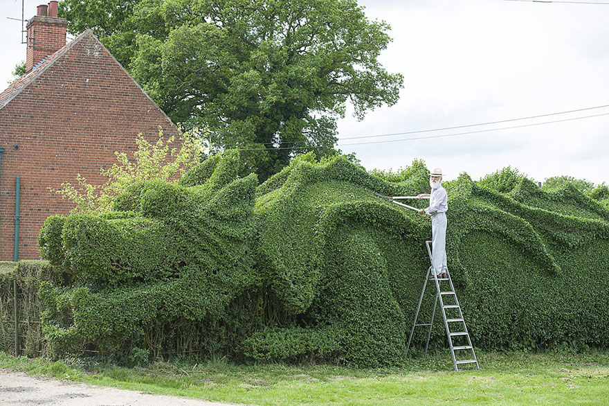 dragon-shaped-hedge-topiary-john-brooker-5 dragon-shaped-hedge-topiary-john-brooker-5