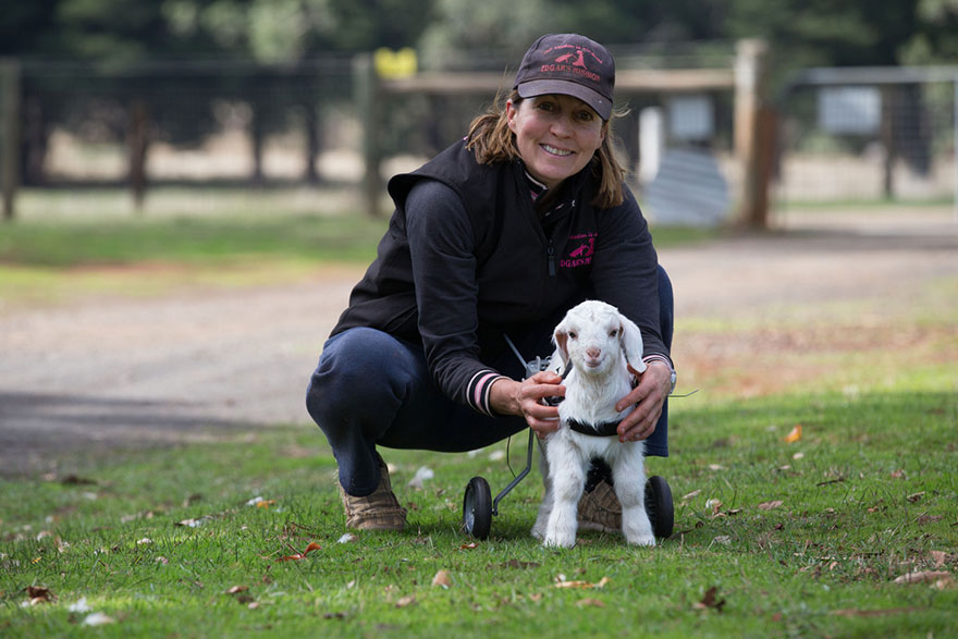 frostie-snow-goat-wheelchair-edgars-mission-8 frostie-snow-goat-wheelchair-edgars-mission-8