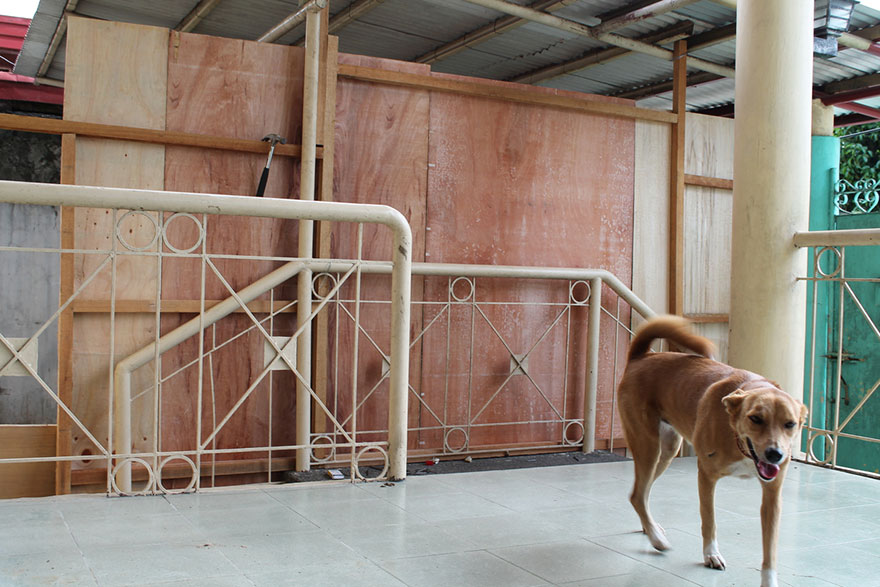 happy-animals-club-pet-shelter-kid-10 happy-animals-club-pet-shelter-kid-10