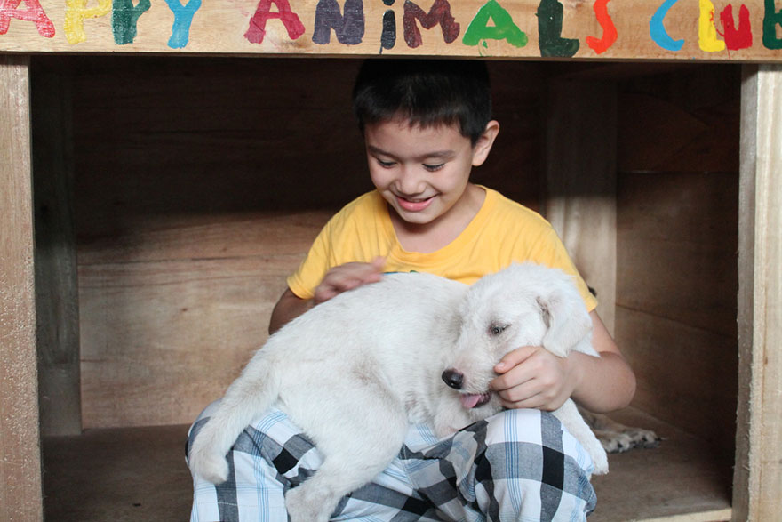 happy-animals-club-pet-shelter-kid-2 happy-animals-club-pet-shelter-kid-2