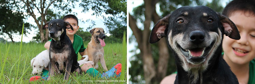 happy-animals-club-pet-shelter-kid-3 happy-animals-club-pet-shelter-kid-3