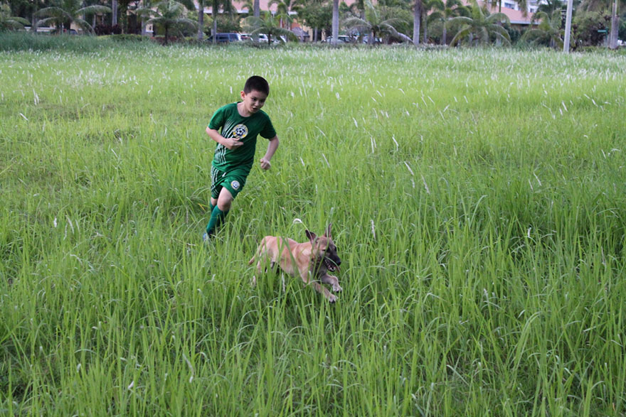 happy-animals-club-pet-shelter-kid-4 happy-animals-club-pet-shelter-kid-4