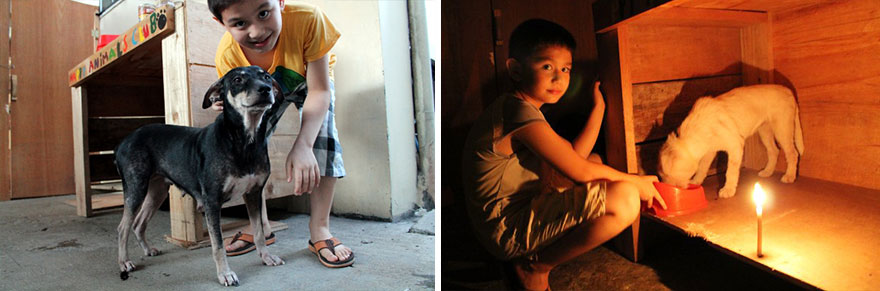 happy-animals-club-pet-shelter-kid-7 happy-animals-club-pet-shelter-kid-7