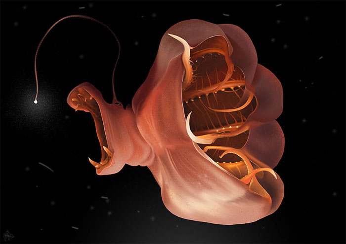 I Create Realistic Finger Paintings On My iPad