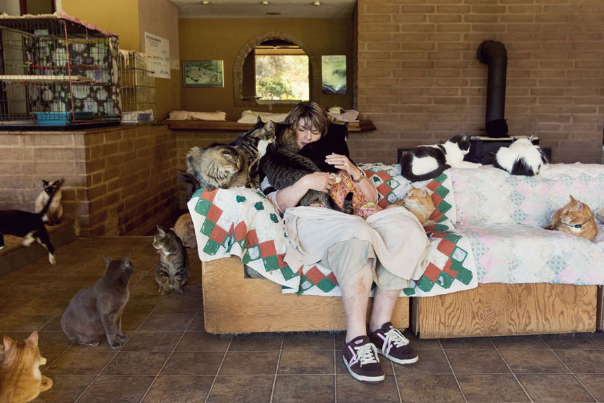 largest-cat-sanctuary-shelter-lynea-lattanzio-13 largest-cat-sanctuary-shelter-lynea-lattanzio-13