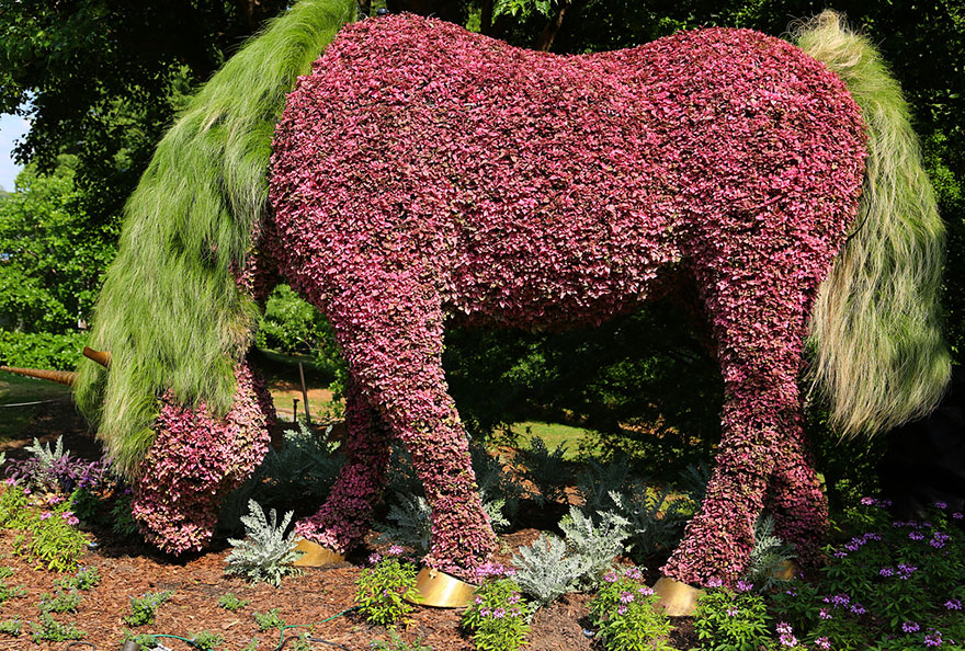 plant-sculptures-imaginary-worlds-atlanta-botanical-garden-10 plant-sculptures-imaginary-worlds-atlanta-botanical-garden-10
