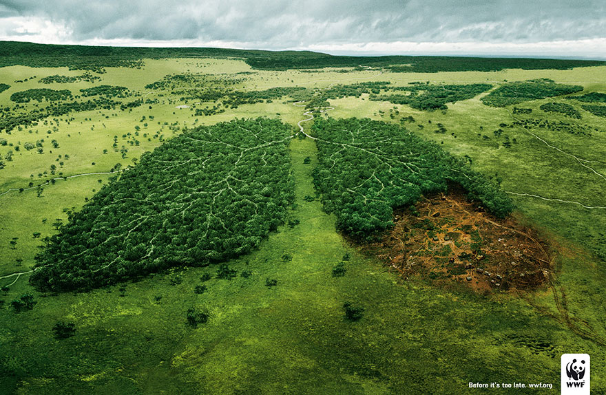 Aerial view of a forest shaped like lungs, with one side deforested, highlighting environmental impact; powerful advertisement. Aerial view of a forest shaped like lungs, with one side deforested, highlighting environmental impact; powerful advertisement.