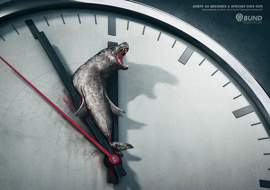Powerful advertisement showing a seal impaled on clock hands, highlighting species extinction urgency. Powerful advertisement showing a seal impaled on clock hands, highlighting species extinction urgency.
