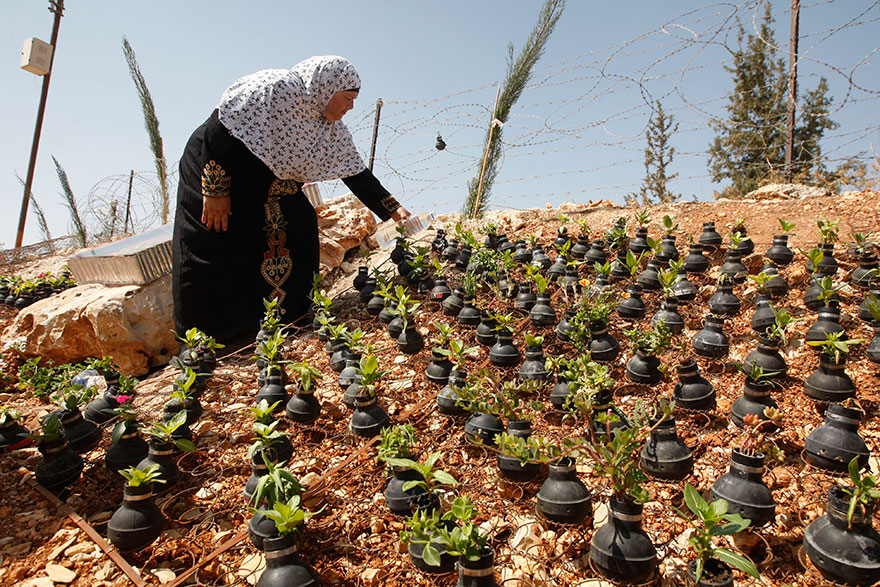 tear-gas-flower-pots-palestine-1 tear-gas-flower-pots-palestine-1