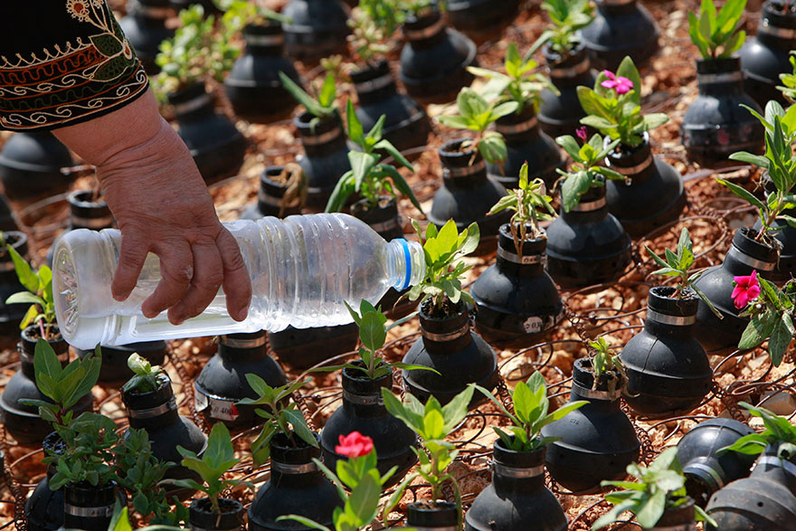 tear-gas-flower-pots-palestine-11 tear-gas-flower-pots-palestine-11