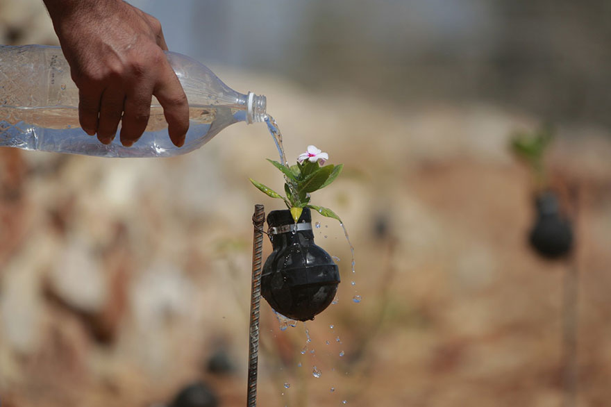 tear-gas-flower-pots-palestine-4 tear-gas-flower-pots-palestine-4