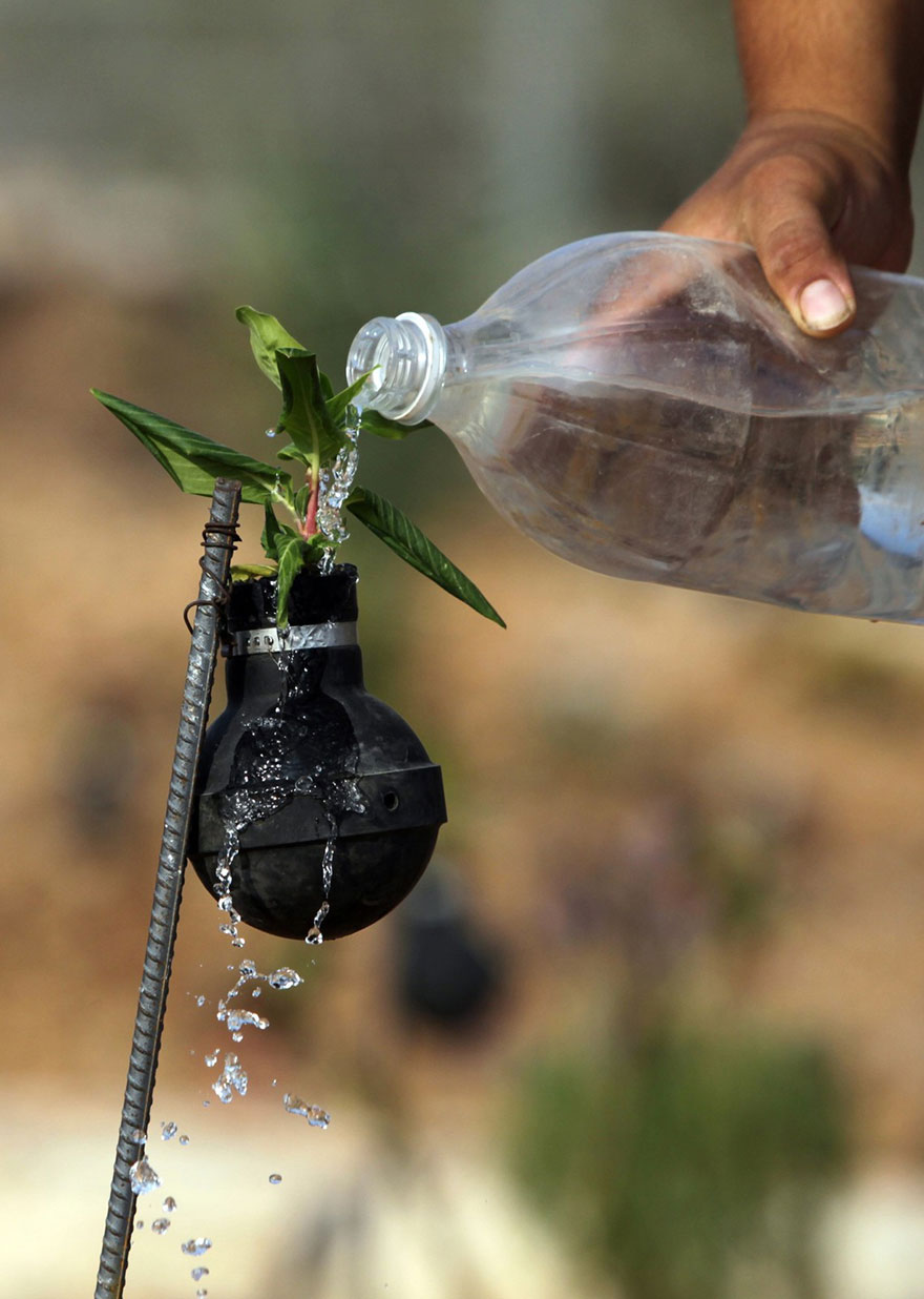 tear-gas-flower-pots-palestine-6 tear-gas-flower-pots-palestine-6