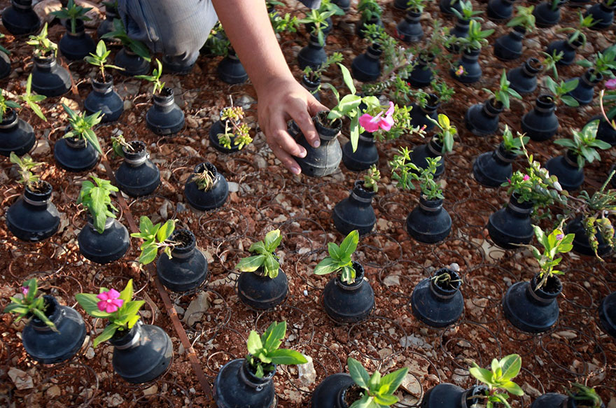 tear-gas-flower-pots-palestine-7 tear-gas-flower-pots-palestine-7
