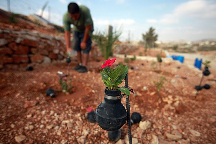 tear-gas-flower-pots-palestine-8 tear-gas-flower-pots-palestine-8