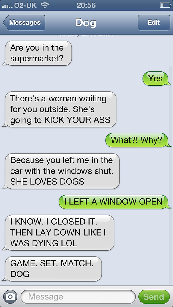 texts-from-dog-11 texts-from-dog-11