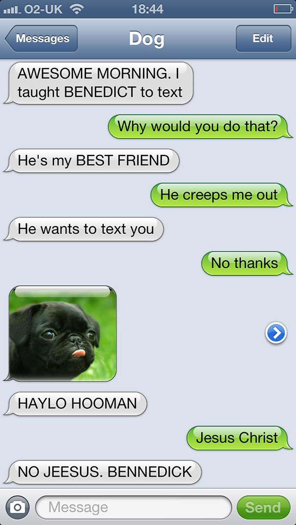 texts-from-dog-13 texts-from-dog-13