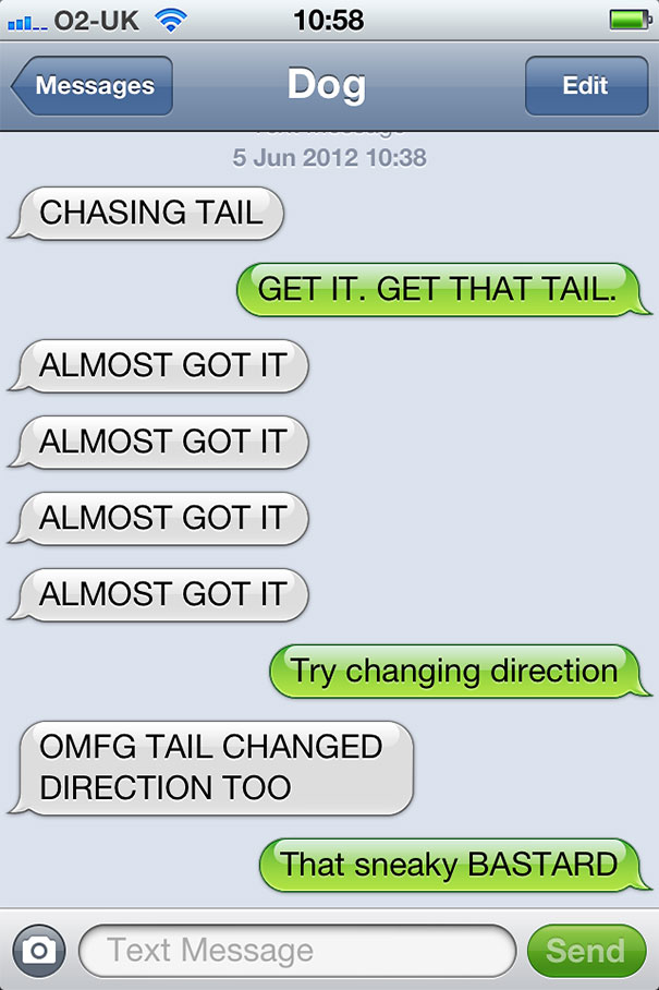 texts-from-dog-25 texts-from-dog-25