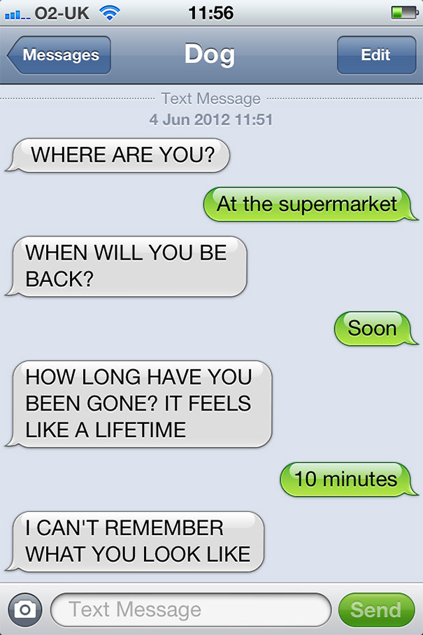 texts-from-dog-26 texts-from-dog-26