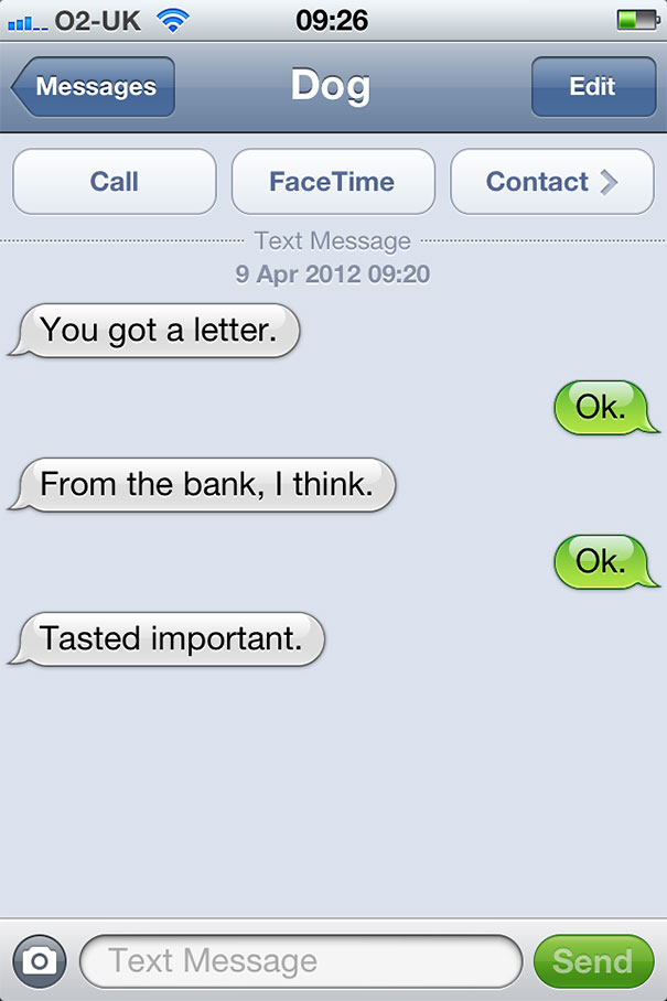 texts-from-dog-29 texts-from-dog-29