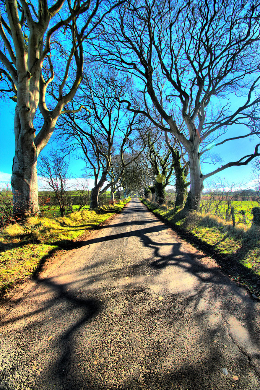 the-dark-hedges-tree-tunnel-13