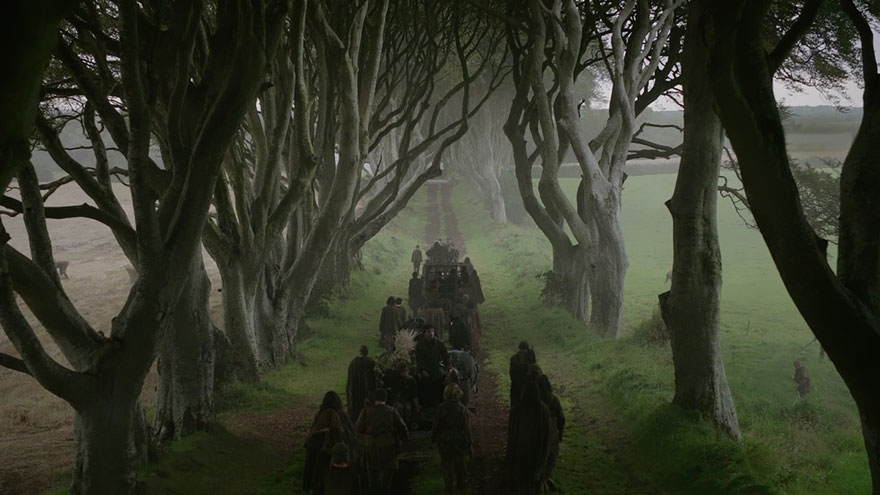 the-dark-hedges-tree-tunnel-15