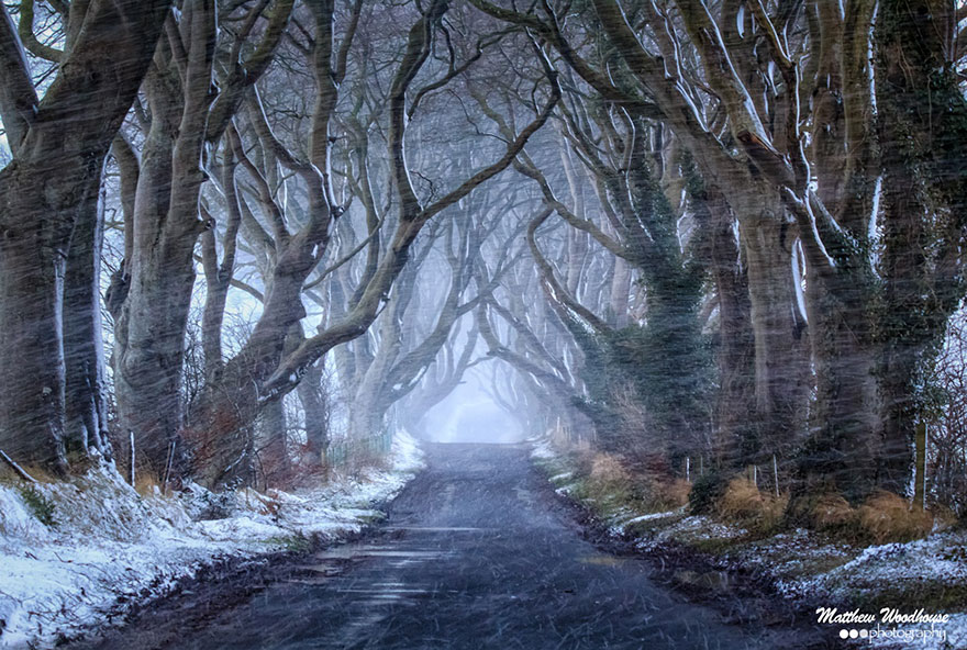 the-dark-hedges-tree-tunnel-3 the-dark-hedges-tree-tunnel-3