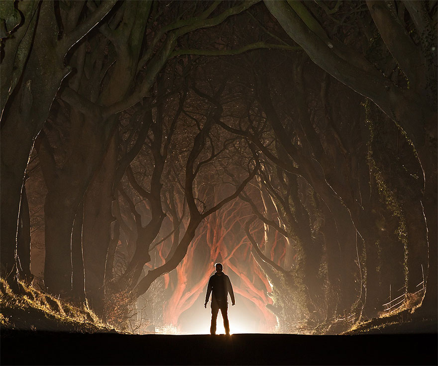 the-dark-hedges-tree-tunnel-6 the-dark-hedges-tree-tunnel-6
