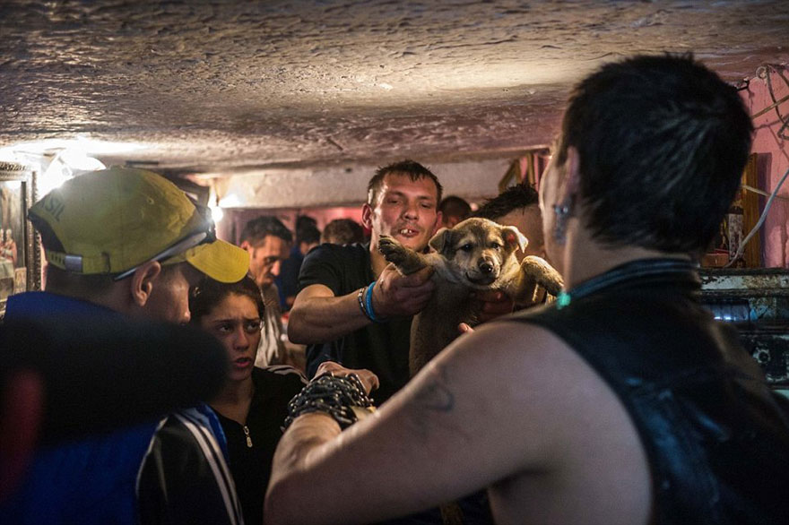 underground-sewer-life-bruce-lee-bucharest-16 underground-sewer-life-bruce-lee-bucharest-16