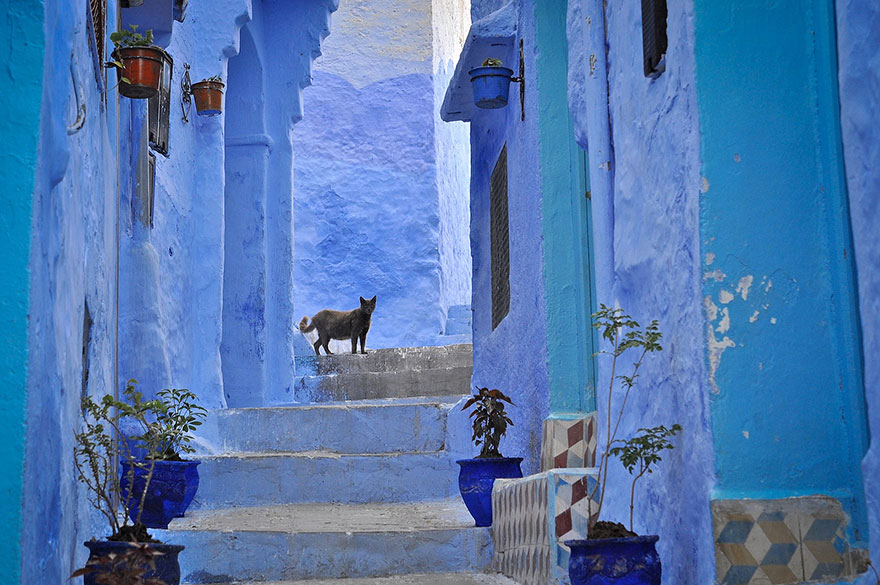 blue-streets-of-chefchaouen-morocco-3 blue-streets-of-chefchaouen-morocco-3
