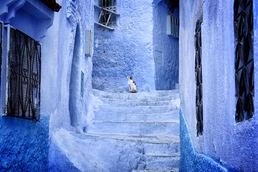 blue-streets-of-chefchaouen-morocco-4 blue-streets-of-chefchaouen-morocco-4