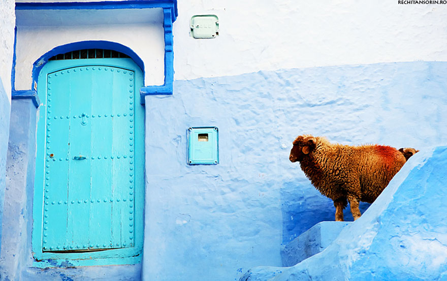 blue-streets-of-chefchaouen-morocco-8 blue-streets-of-chefchaouen-morocco-8