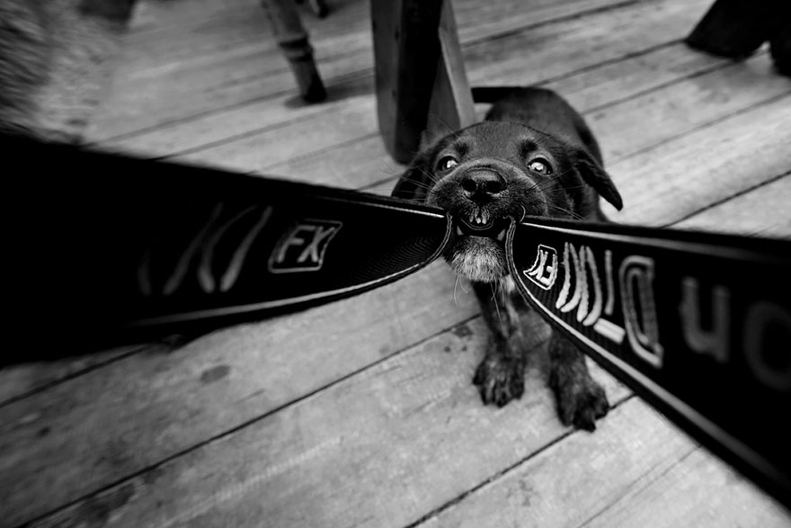 children-family-photography-rural-sebastian-luczywo-10 children-family-photography-rural-sebastian-luczywo-10