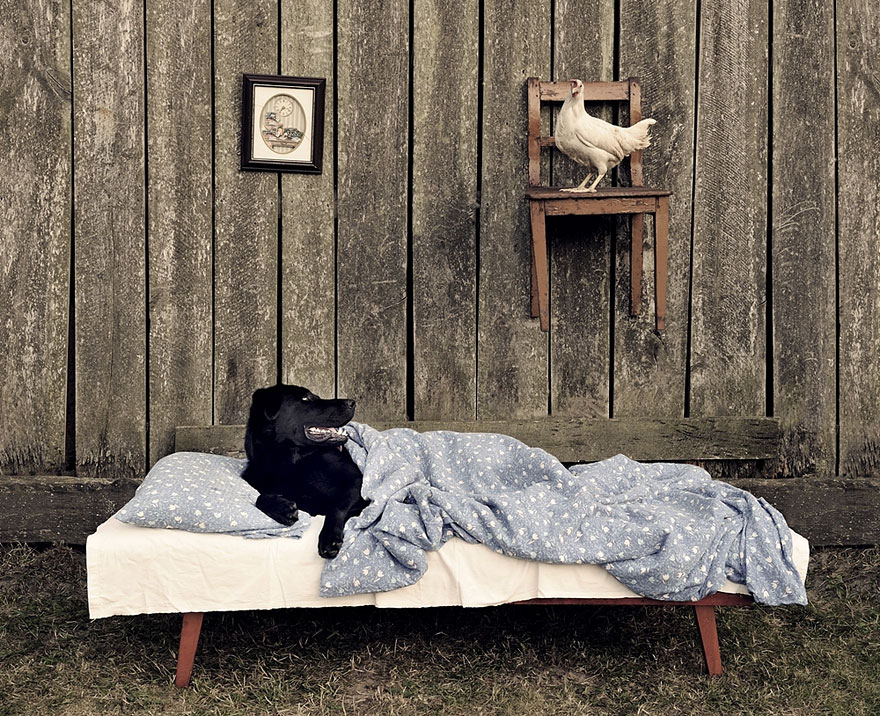 children-family-photography-rural-sebastian-luczywo-17 children-family-photography-rural-sebastian-luczywo-17