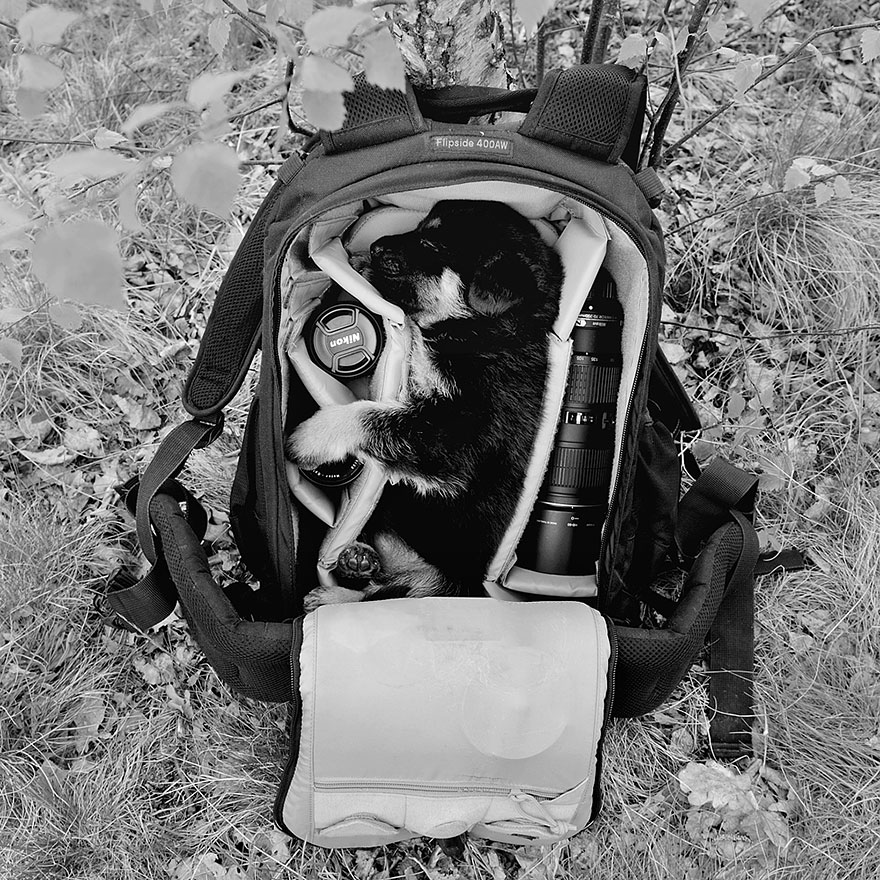 children-family-photography-rural-sebastian-luczywo-7 children-family-photography-rural-sebastian-luczywo-7