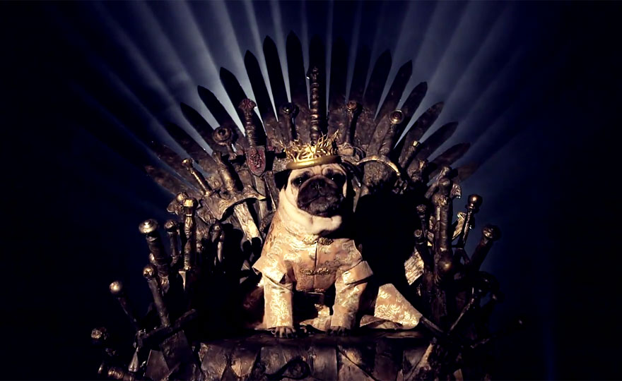 cute-pugs-game-of-thrones-pugs-of-westeros-5 cute-pugs-game-of-thrones-pugs-of-westeros-5