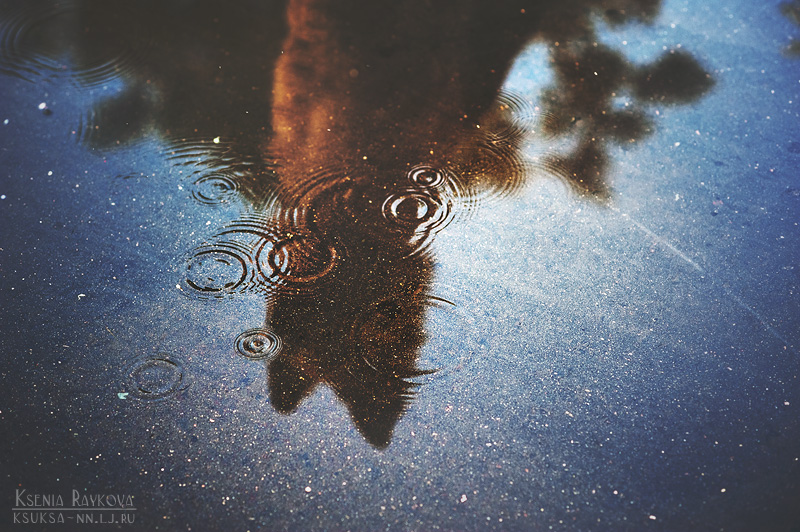 dog-photography-ksuksa-raykova-10