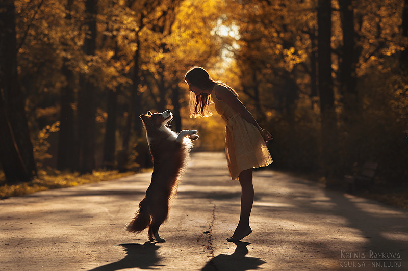 dog-photography-ksuksa-raykova-87 dog-photography-ksuksa-raykova-87