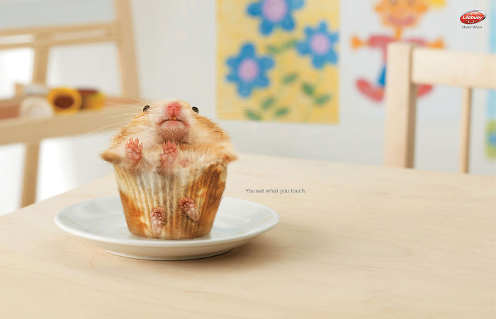 funny-ads-with-animals-11 funny-ads-with-animals-11