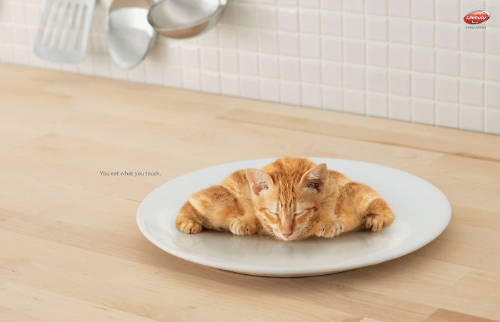 funny-ads-with-animals-12 funny-ads-with-animals-12